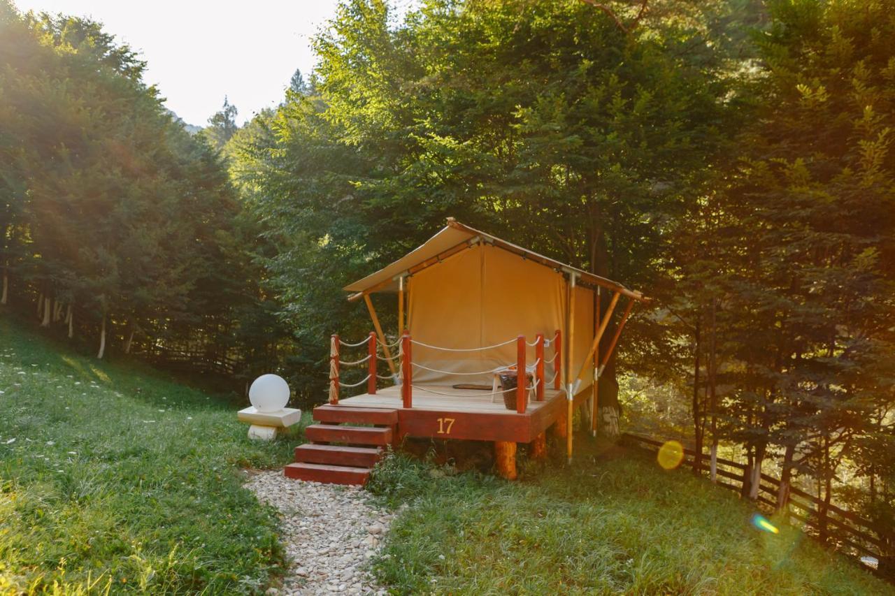 Camp - Adventure Glamping Camping *